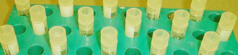 ARA Antibodies for Research Applications